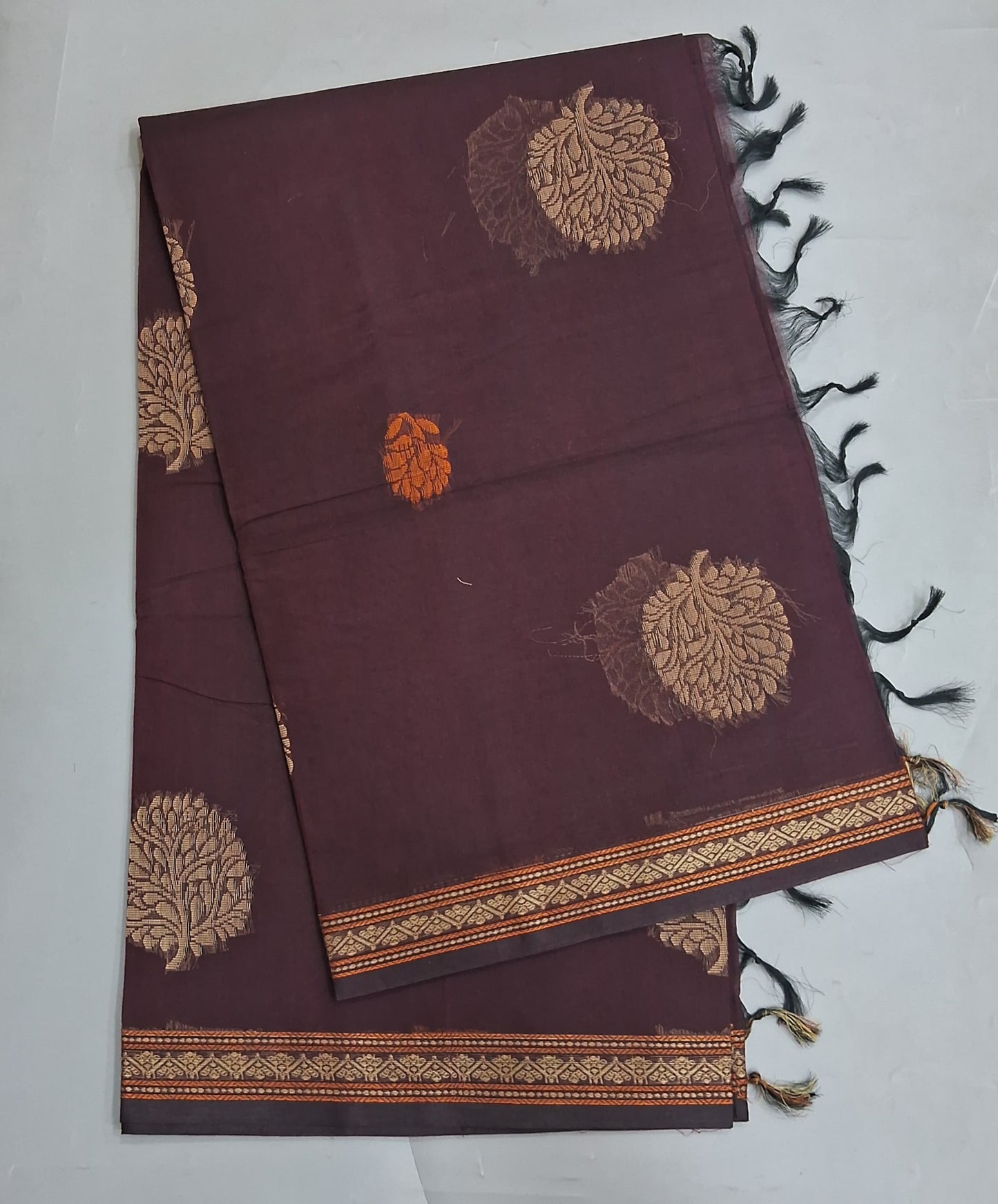 Walnut Brown Korvai Kanchi Cotton Saree
