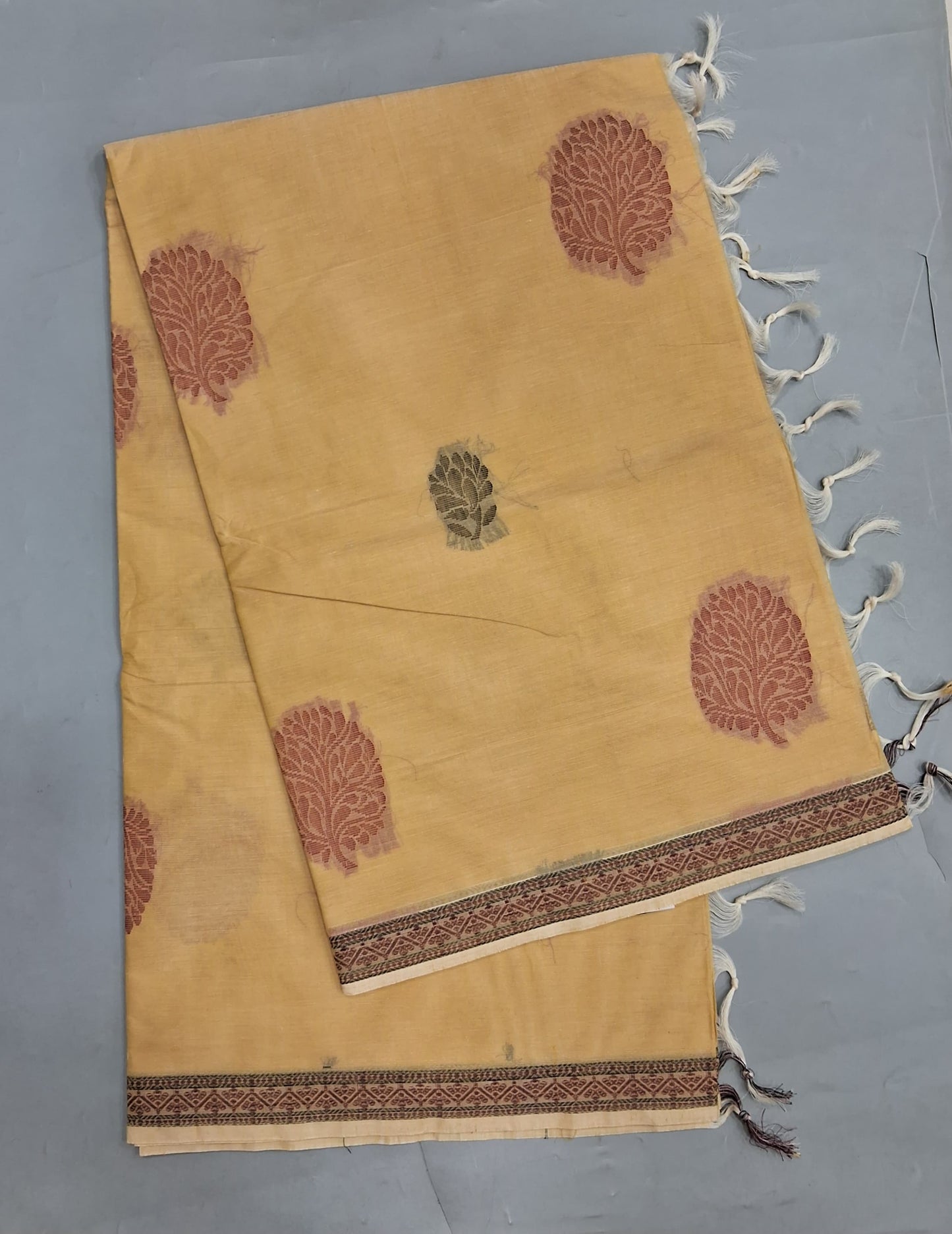Light Yellow Korvai Kanchi Cotton Saree