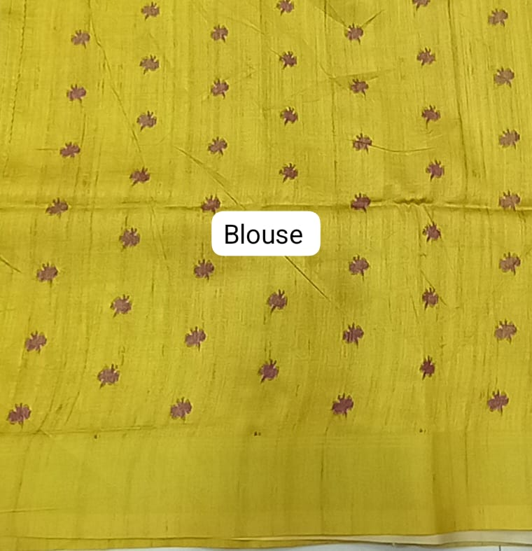 Grey Tussar Saree Blouse