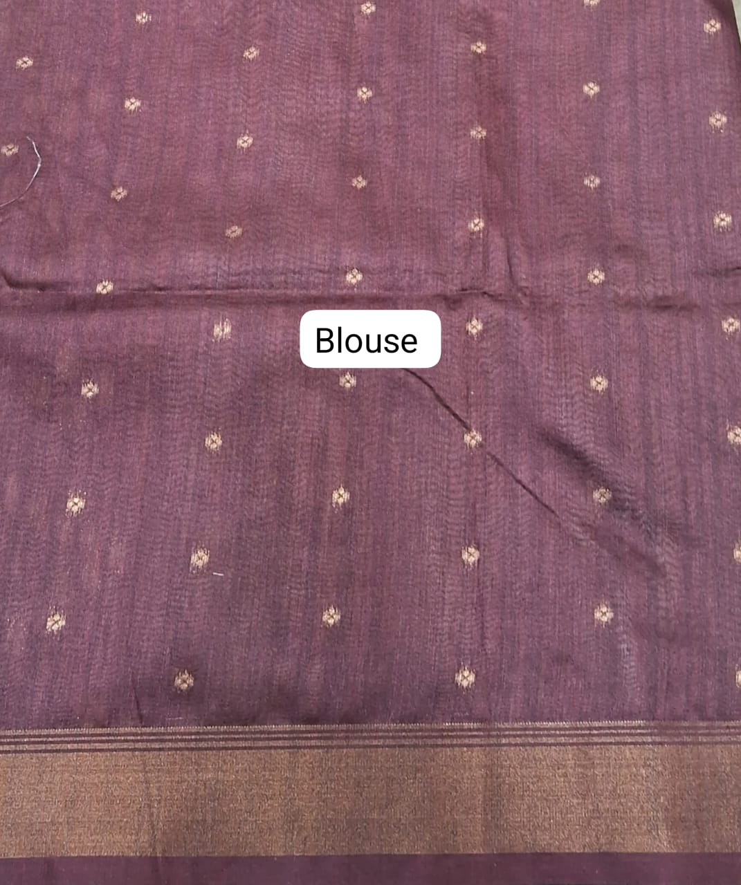 Beige Tussar Saree Blouse