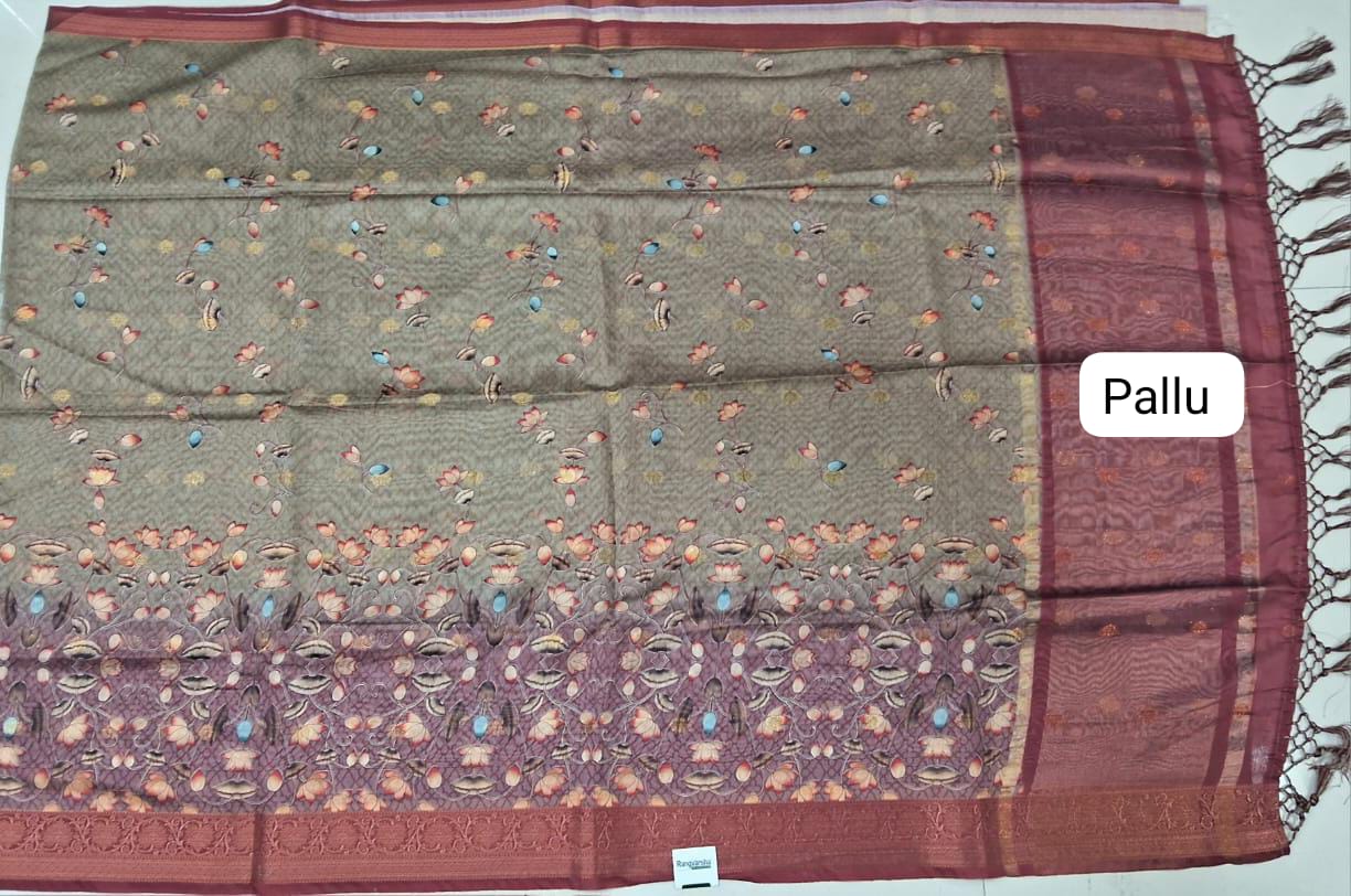 Seafoam Green Chanderi Saree Pallu