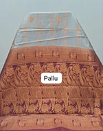 Beige Pure Kanchi Silk Saree Blouse