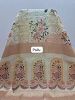 Light Beige Organza Saree Pallu