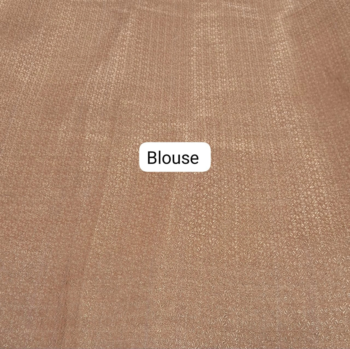 Light Beige Organza Saree Blouse