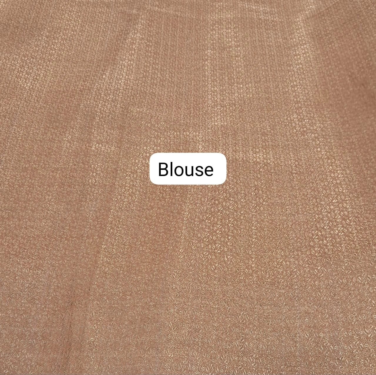 Light Beige Organza Saree Blouse