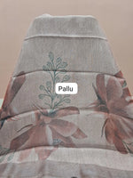 Sand Brown Tissue Tussar Saree Pallu
