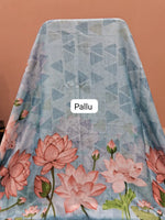 Li Pallught Sky Blue Silk Saree