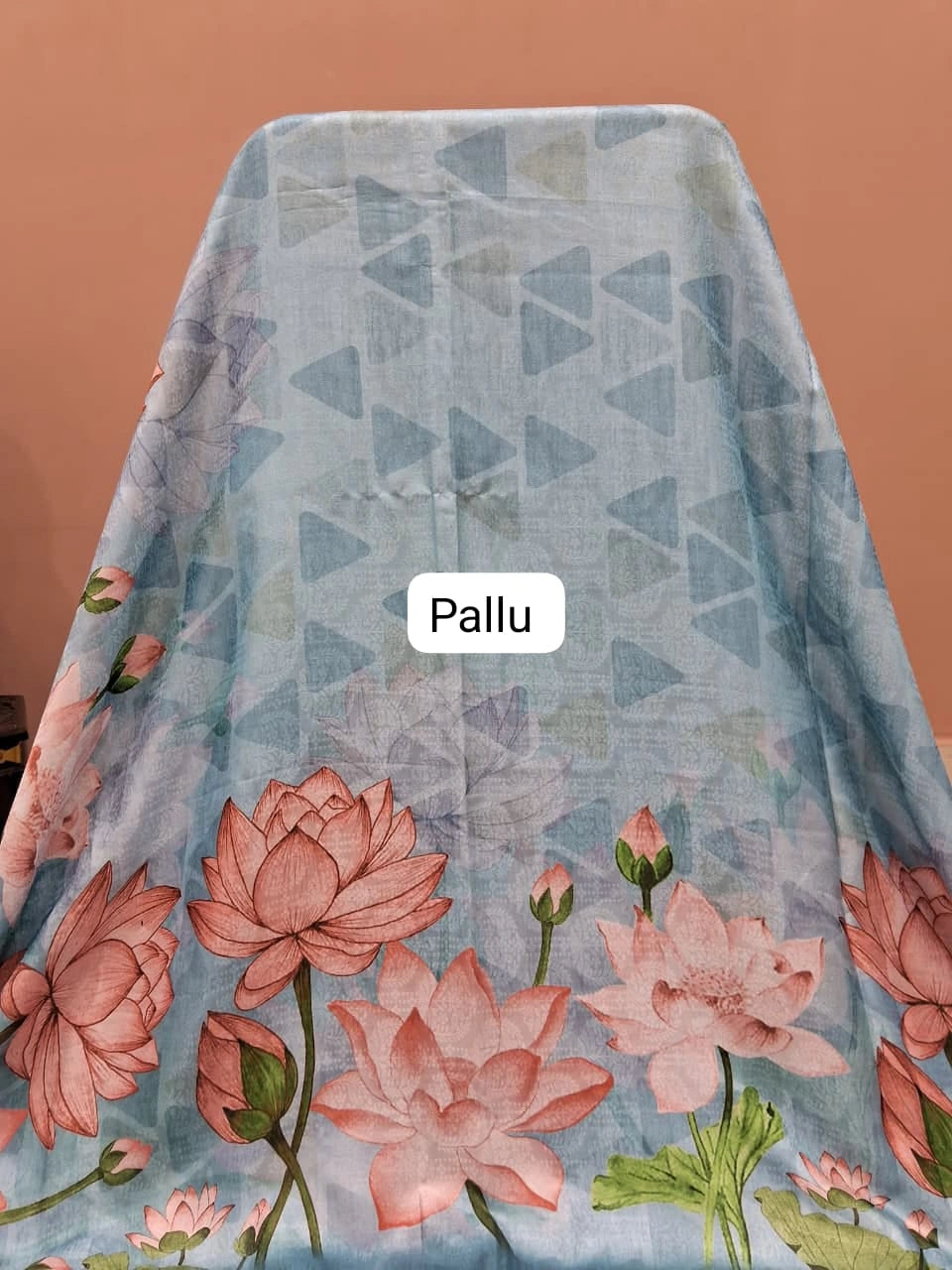 Li Pallught Sky Blue Silk Saree