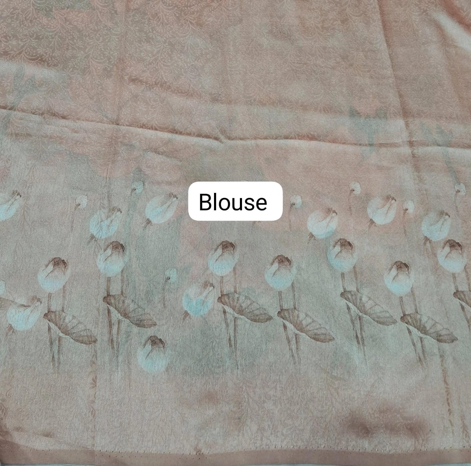 Light Silver Shaded Silk Saree blouse