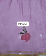 Baby Pink Chiffon Saree Blouse