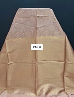 Light Brown Tussar Saree pallu
