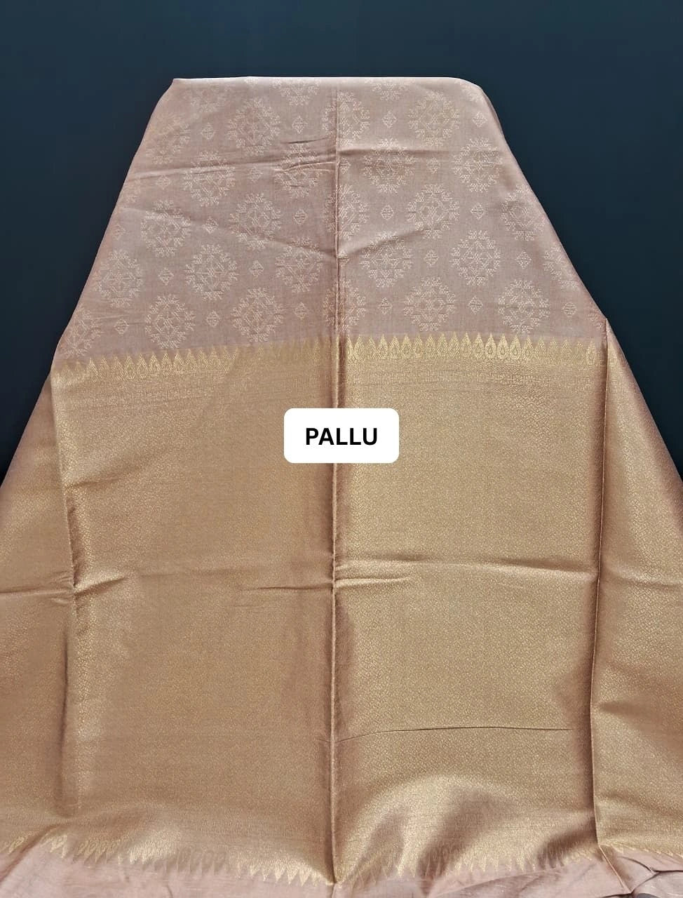 Light Brown Tussar Saree pallu