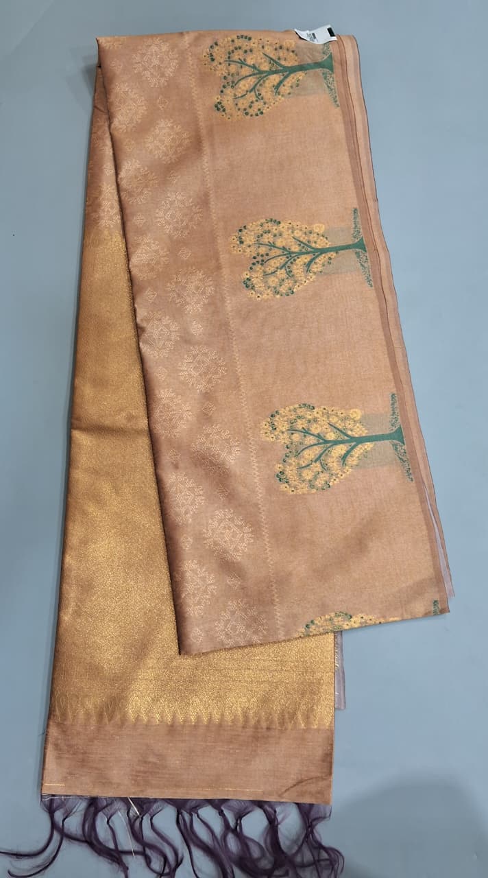 Light Brown Tussar Saree