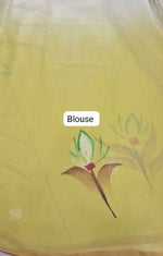 Mint Green and Light Yellow Chiffon Saree Blouse