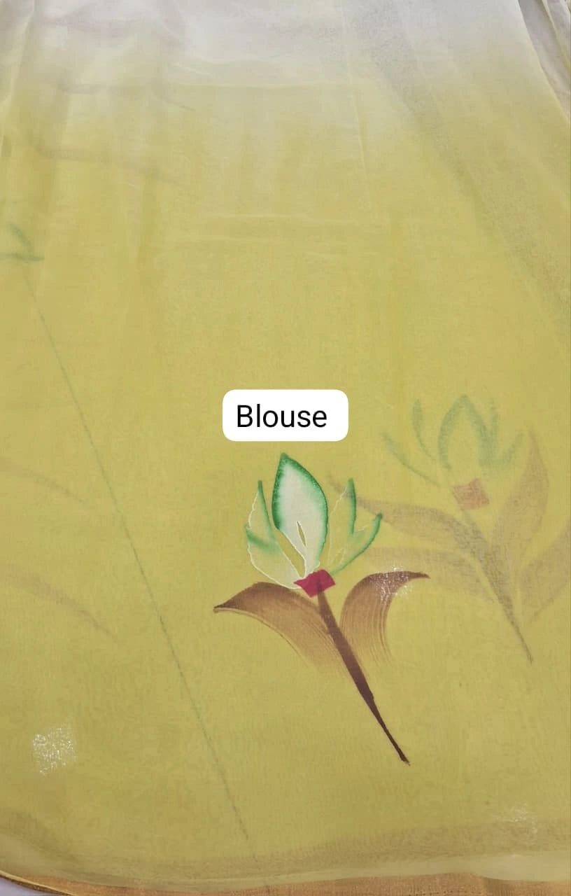 Mint Green and Light Yellow Chiffon Saree Blouse