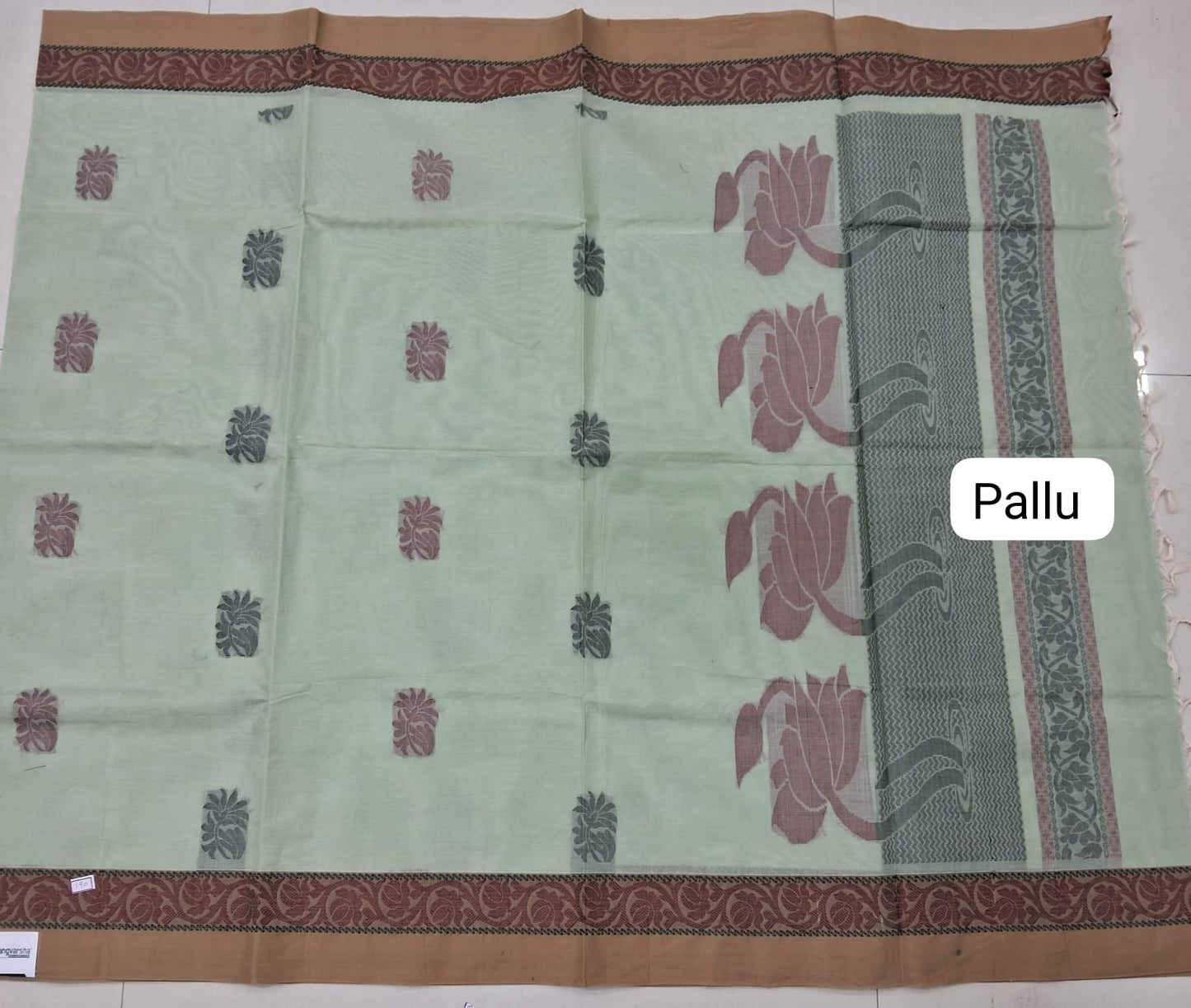 Light Pista Green Korvai Kanchi Cotton Saree pallu