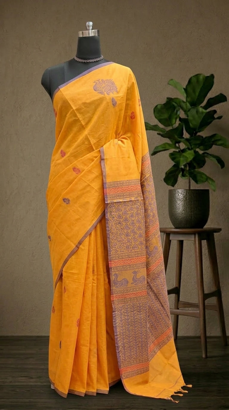 Sunlit Mango Kanchi Cotton Saree 