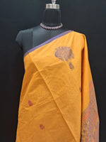 Sunlit Mango Kanchi Cotton Saree 1
