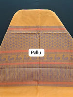 Sunlit Mango Kanchi Cotton Saree pallu