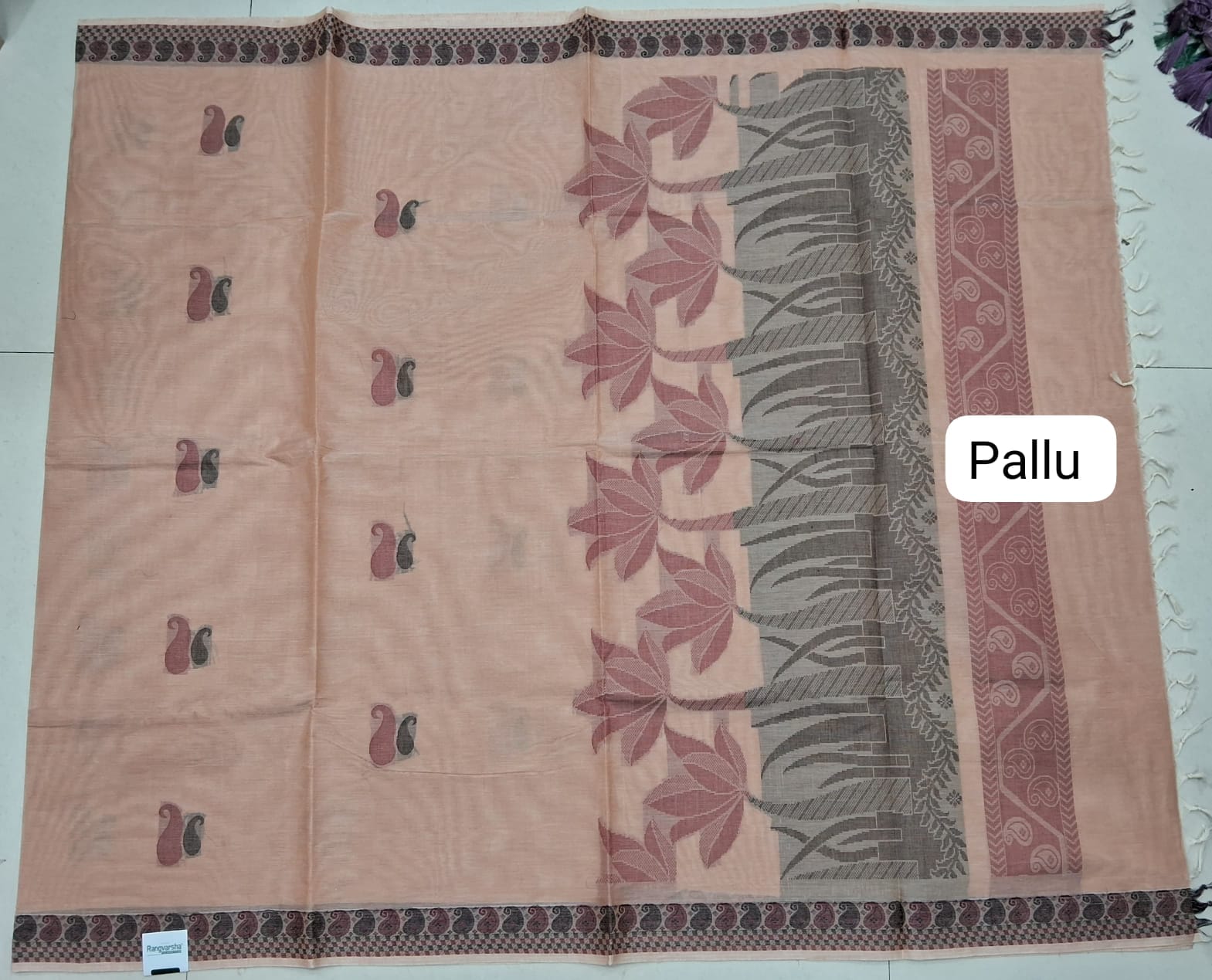 Beige Korvai Kanchi Cotton Saree Pallu