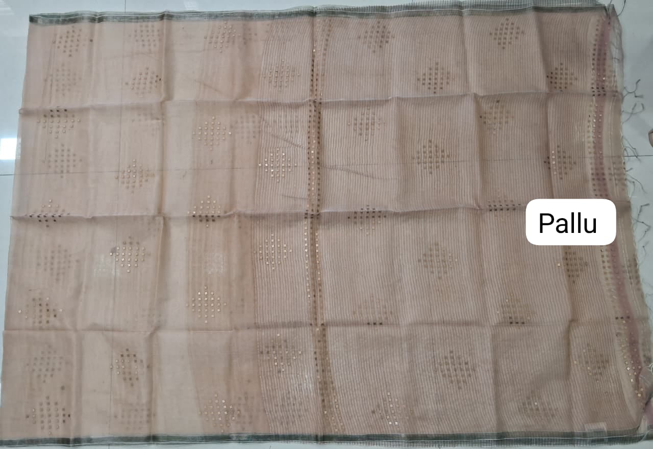 Beige Muslin Saree Pallu Blouse