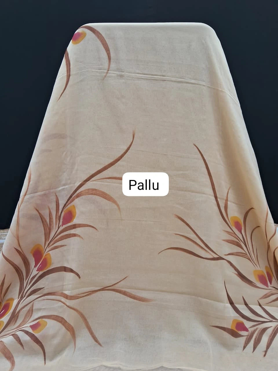 Beige Chiffon Saree Pallu