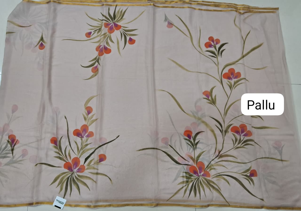 Cream Chiffon Saree Pallu