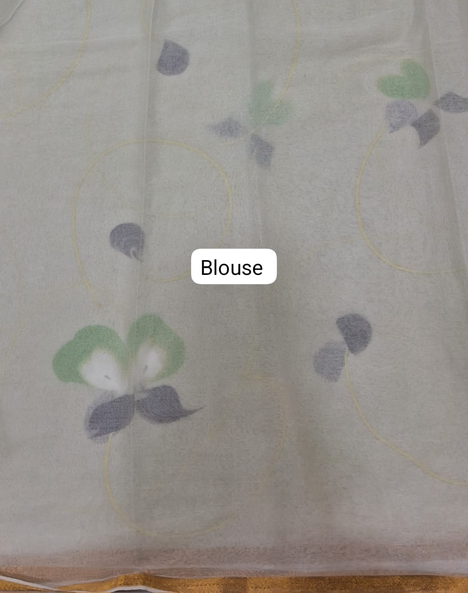 Light Pista Green Chiffon Saree Blouse