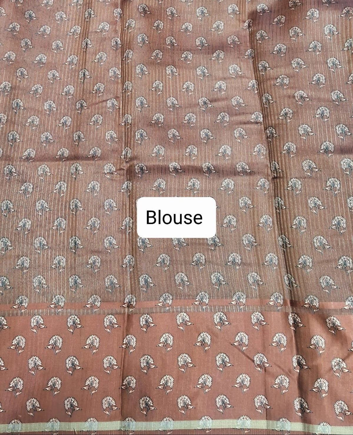 Light Brown Semi Tussar saree Blouse