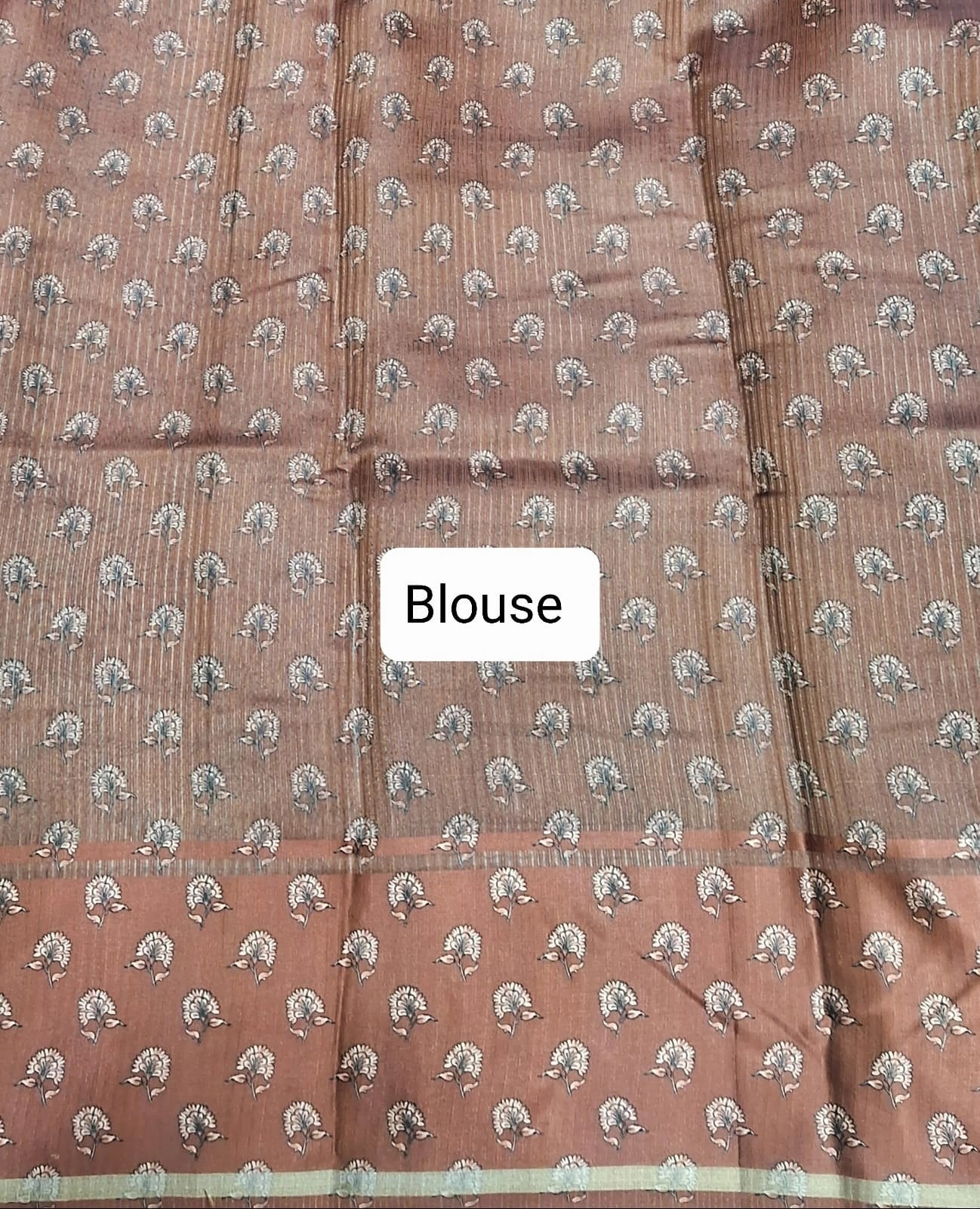 Light Brown Semi Tussar saree Blouse